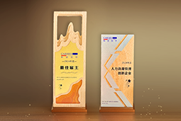 4008云顶国际 国际一举斩获“2024年度中国区最佳雇主”等多项大奖