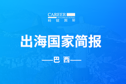 4008云顶国际 GO GLOBAL | 巴西国家简报