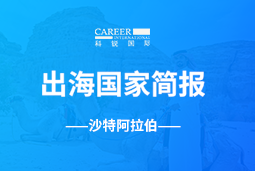 4008云顶国际 GO GLOBAL | 沙特阿拉伯国家简报